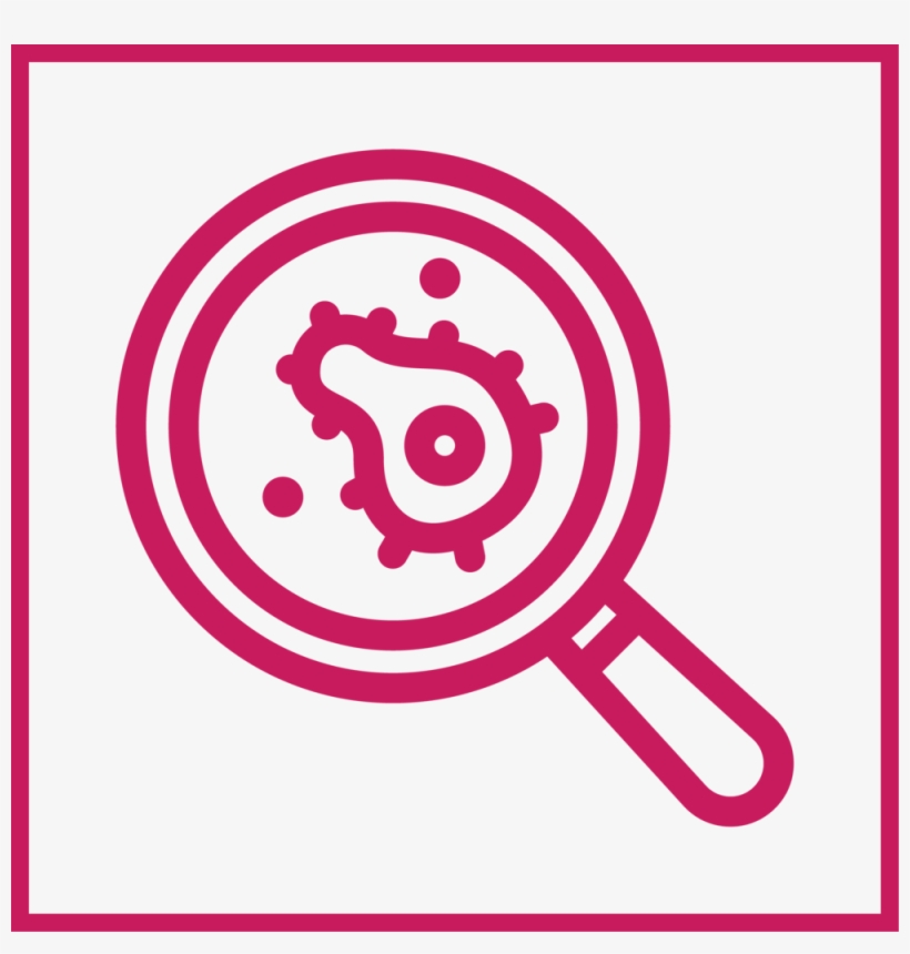 Discovery Icon - Ayuntamiento De La Laguna, transparent png download