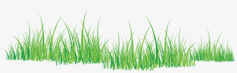 Greengrass Png, transparent png download