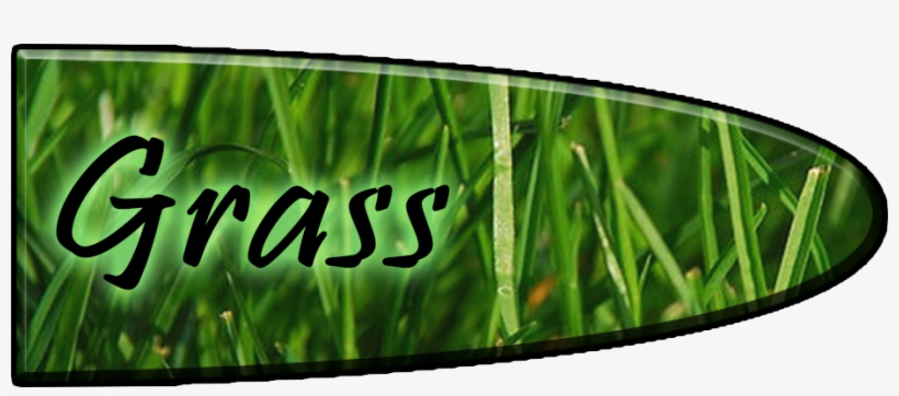 Grass-type - Television Show, transparent png download