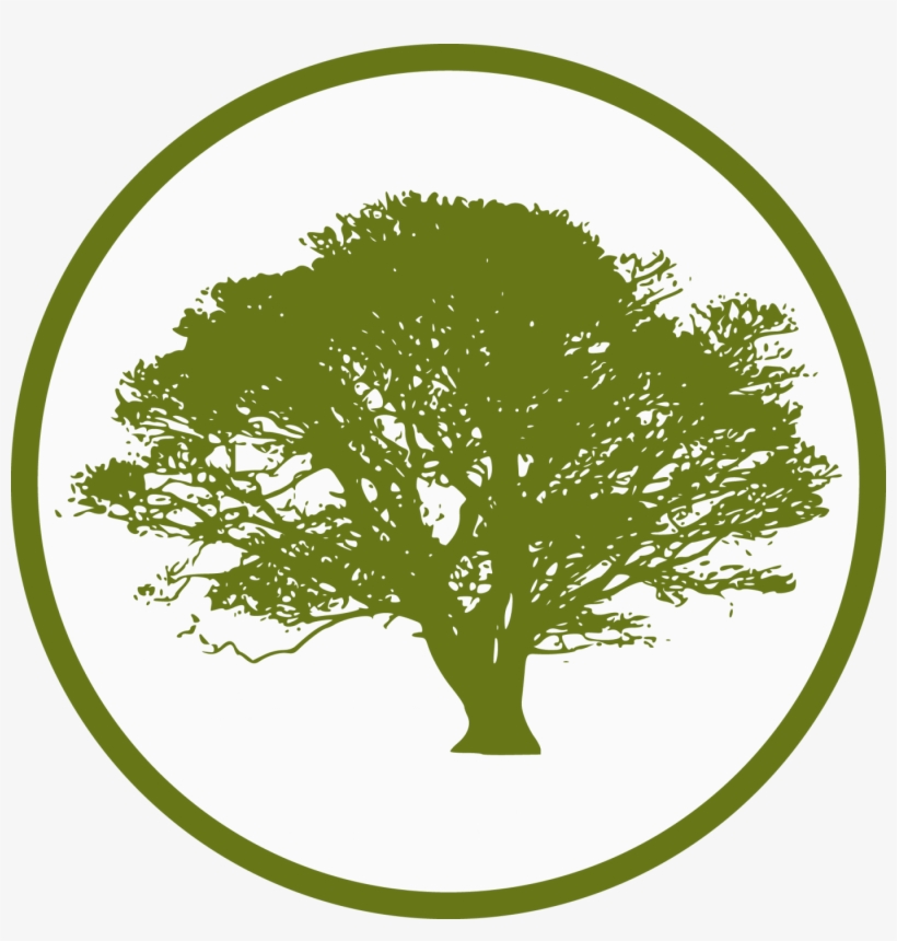 Cropped Martin Forestry Tree Icon - Quotes About Silhouette Trees, transparent png download