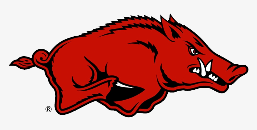 Arkansas Razorbacks, transparent png download