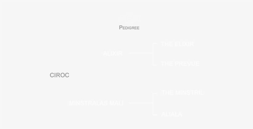 Ciroc Pedigree - Cîroc, transparent png download