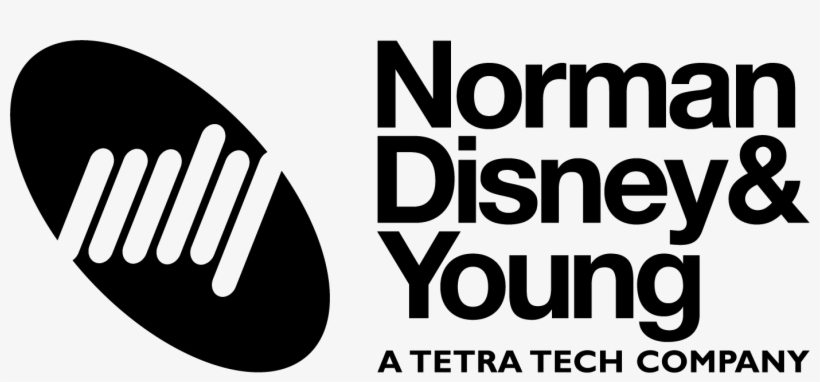 Client Profile - Norman Disney Young Logo Png, transparent png download