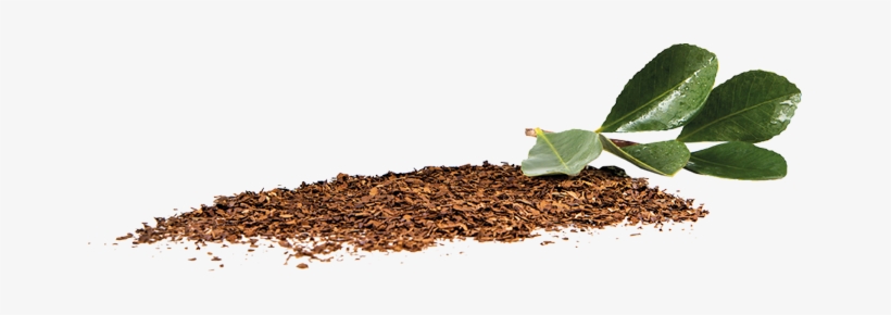 Equal Housing Lender Png - Cha Mate Png, transparent png download