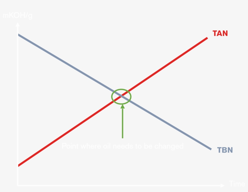Tan Will Increase Overtime, And As The Bases Are Used, - Circle, transparent png download