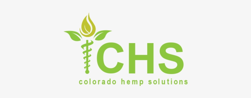 Logo - Film, transparent png download