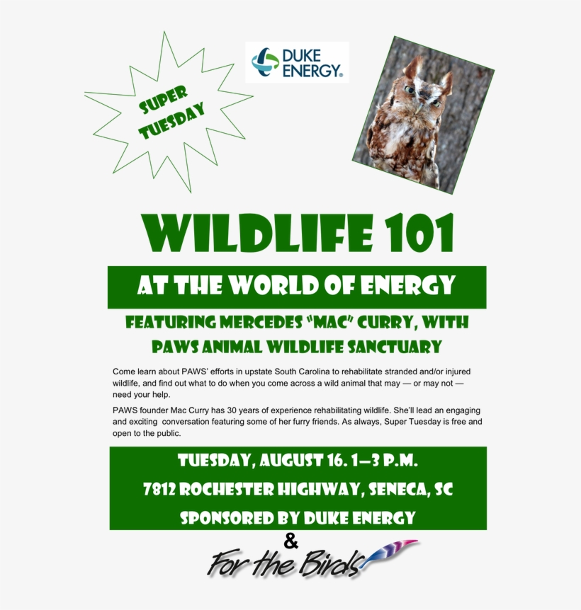 A Great Event Coming Up Next Tuesday At The World Of - Fox Sparrow, transparent png download