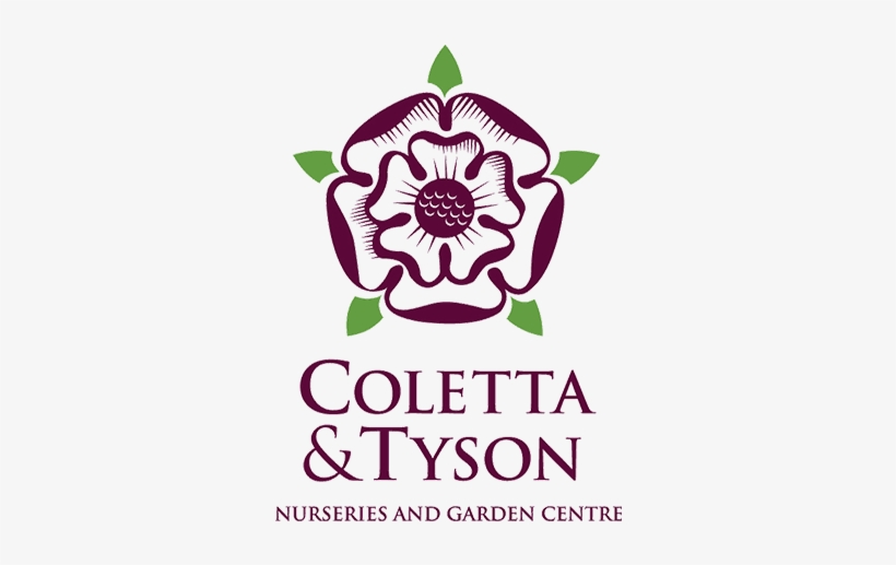 Colleta Tyson Logo 676×447 - Colleta And Tyson Logo, transparent png download
