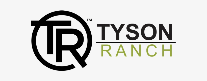 Enter - Tyson Die On The Dancefloor, transparent png download