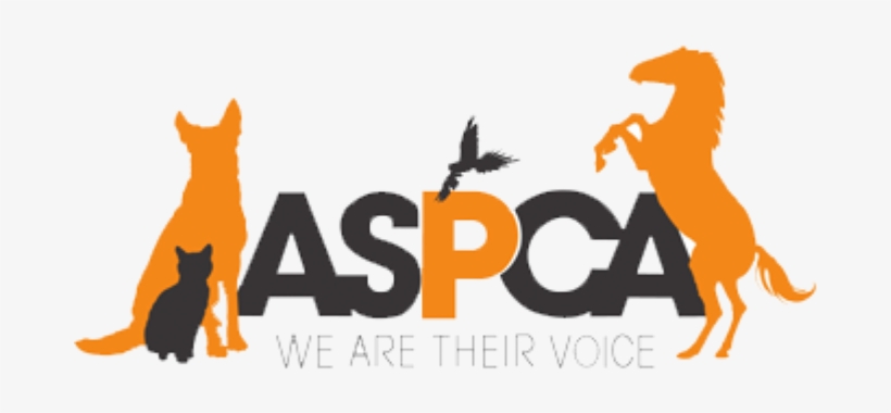 Aspca Organization, transparent png download