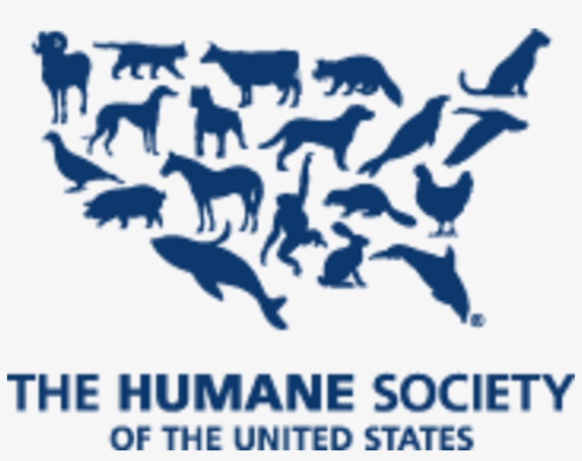 Image Placeholder Title - Humane Society Of Us, transparent png download