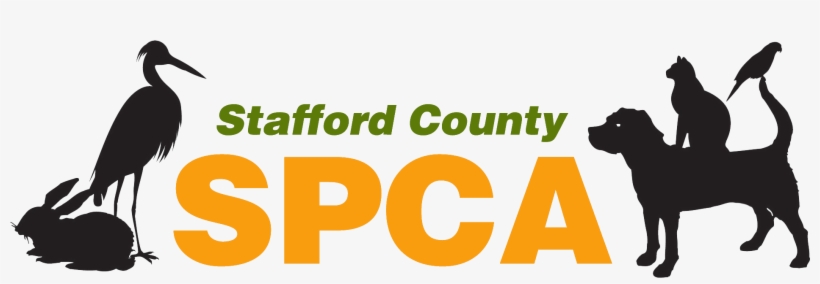 Adopt - Stafford Spca, transparent png download