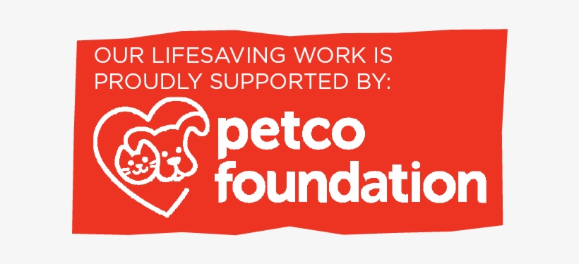 Thank You, Petco Foundation - Graphic Design, transparent png download