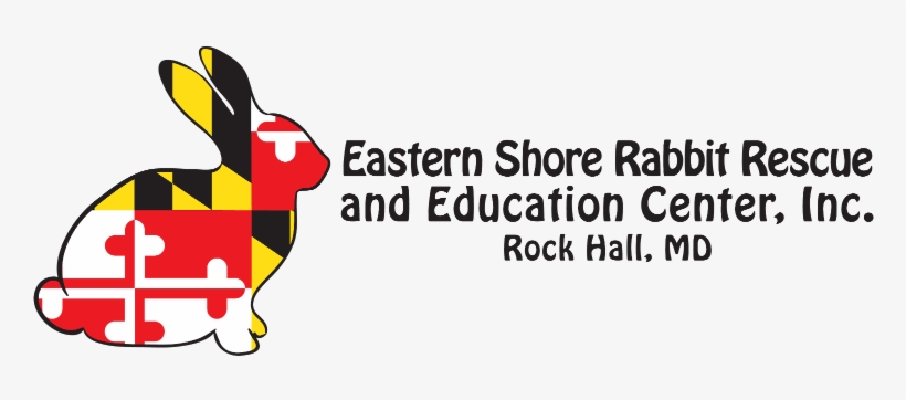 Petco Foundation Invests In Lifesaving Work Of Eastern - Maryland Flag Large Wall Clock, transparent png download