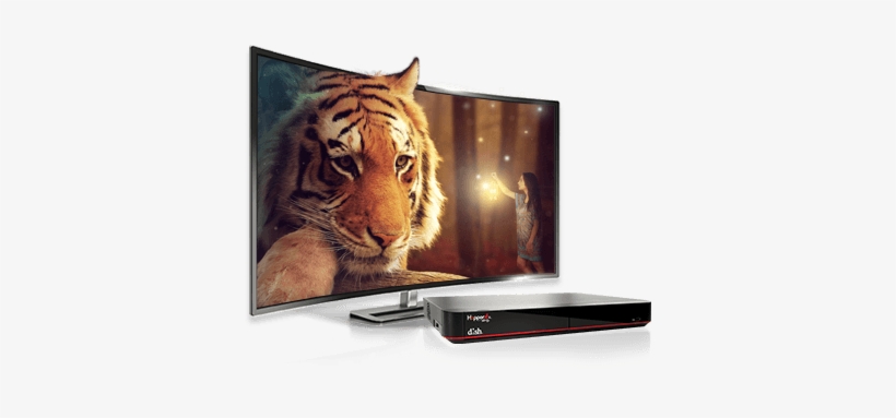 Movies And Shows Available Anywhere You Are - Tiger And A Girl, transparent png download