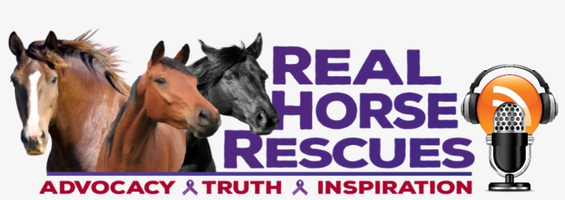 Real Horse Rescues - Vsport Bone Conduction Headphone Adjustable Foldable, transparent png download