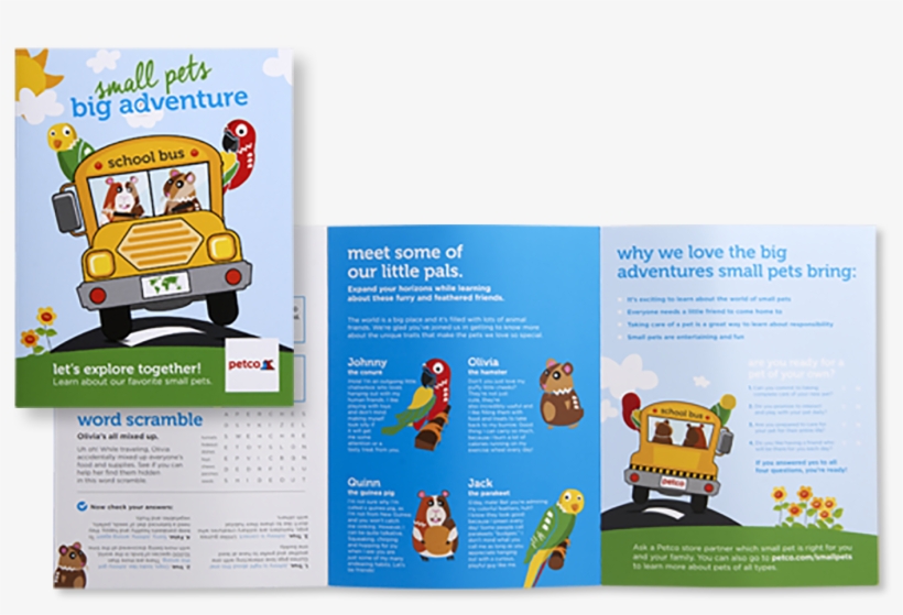 ↑back To Top - Flyer, transparent png download