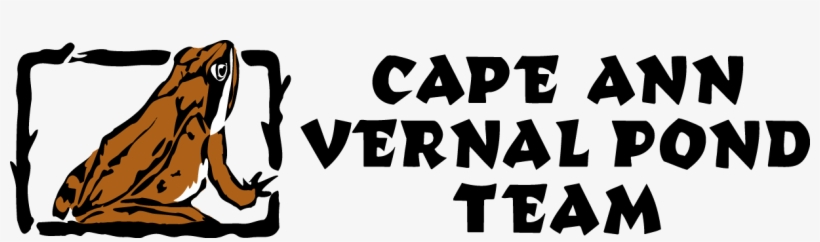 Cape Ann Vernal Pond Team, transparent png download