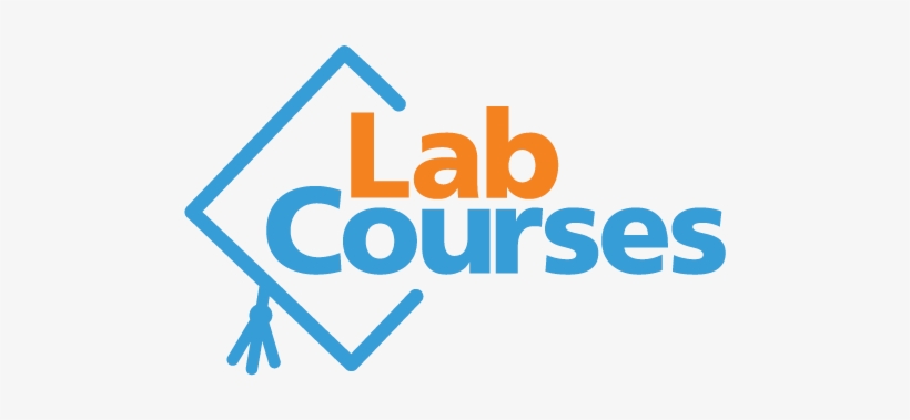 Labcourses Transparent - Warman's Beatles Field Guide, transparent png download