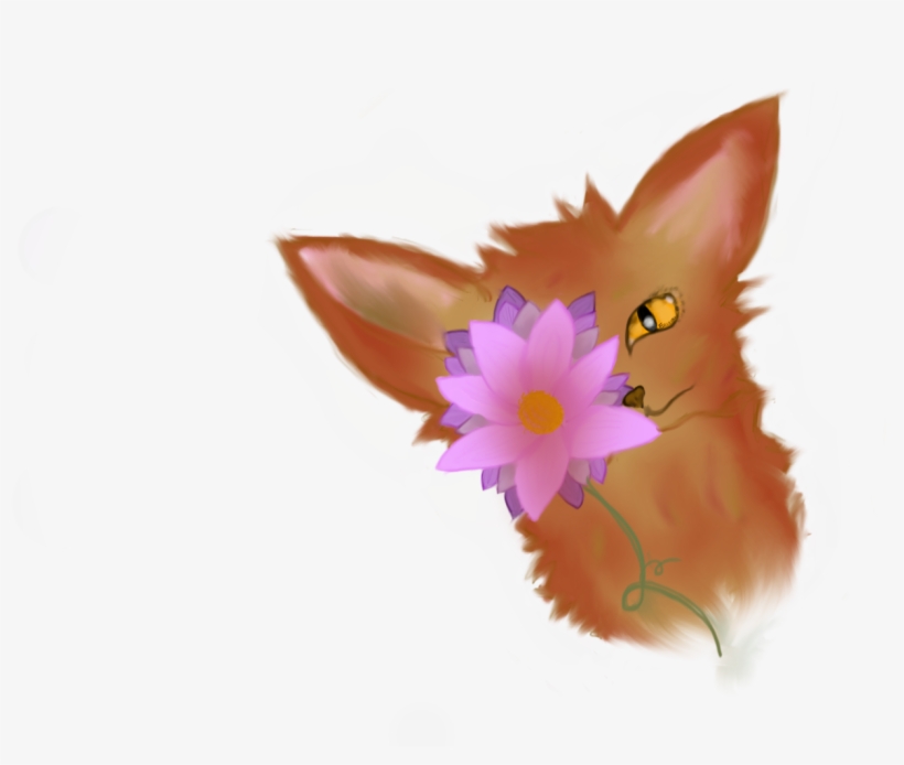 Aster Signature - Cattleya, transparent png download