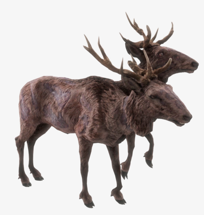 Deer - Radstag Doe, transparent png download