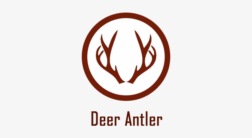 Deer Horn Png Download - Deer, transparent png download