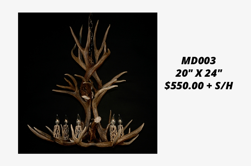 406 295 9041 Call Today - Antlers By Cody, transparent png download