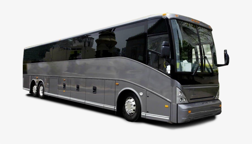 Coach, transparent png download