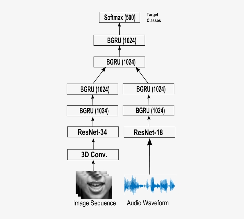 Two Streams Are Used For Feature Extraction Directly - Number, transparent png download