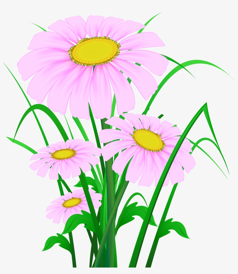 Transparent Pink Daisies Png Clipart - Картини С Цветя И Пеперуди, transparent png download