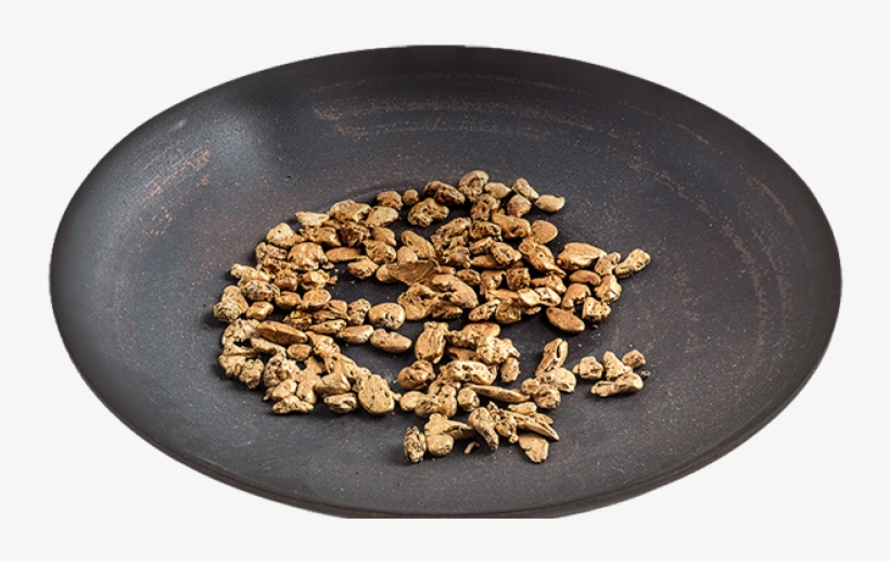 The Gold Rush - Bc Gold Rush, transparent png download