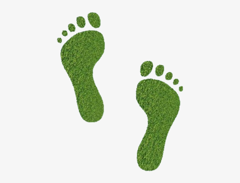 Benefits Of Reflexology For Pregnancy, transparent png download