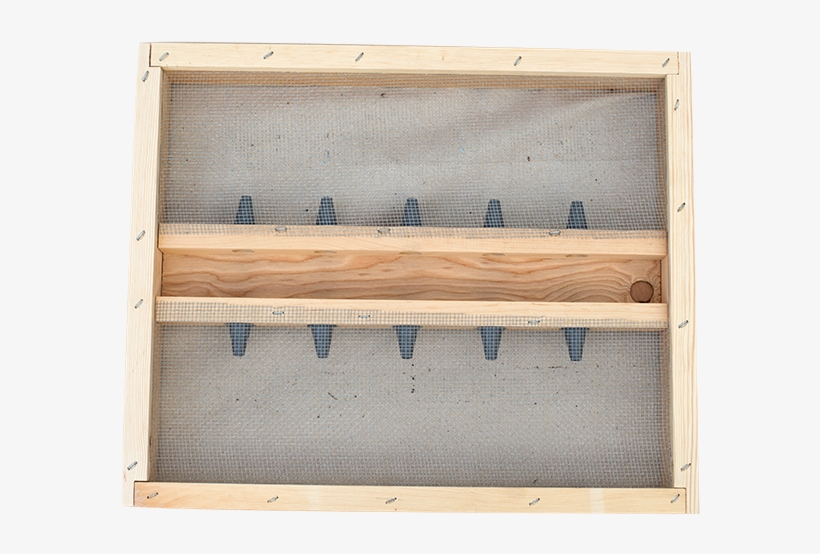 Bee Escapes, transparent png download