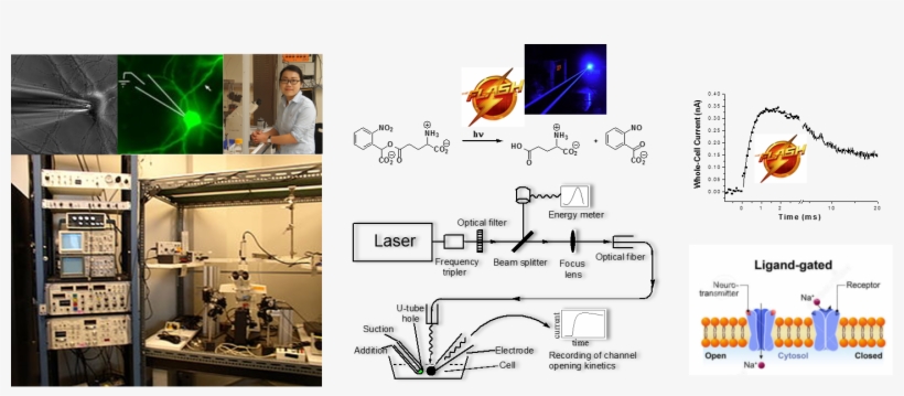 Research-electro - Diagram, transparent png download