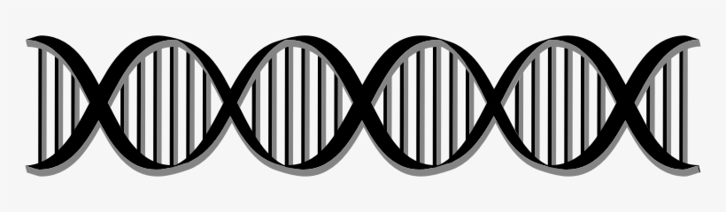 Medium Image - Dna Helix Black And White, transparent png download