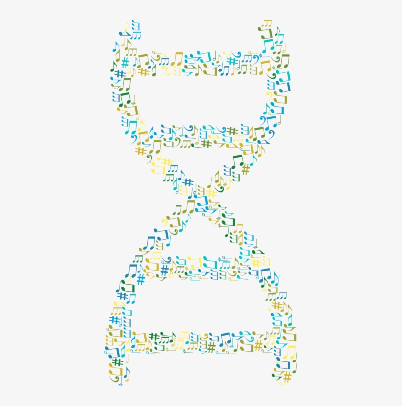 Dna Musical Theatre Computer Icons Nucleic Acid Double, transparent png download