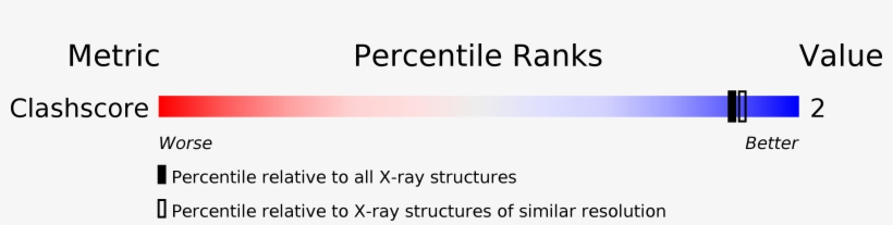 Structure Validation - Lenilash - Falsche Wimpern - Schwarz - Echthaar - Nr.102, transparent png download