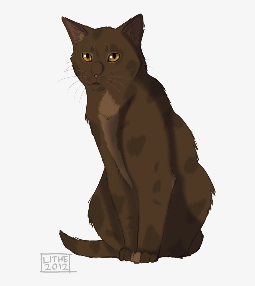 Timb Bann - Digital Art, transparent png download