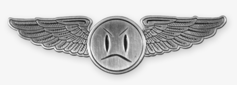 Metal Wings Png - Flight Attendant Wings Png, transparent png download
