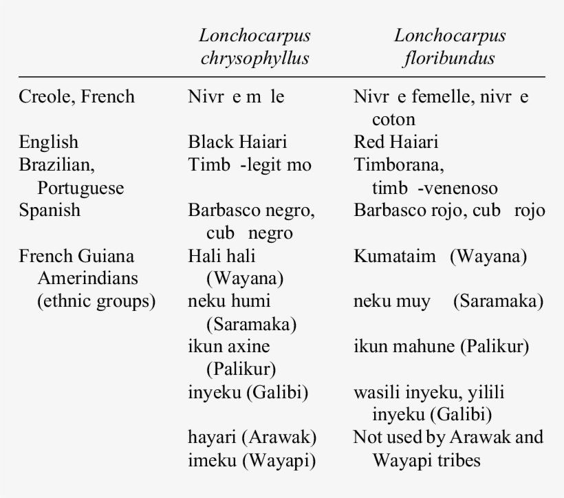 Common Names Of The Two Main Vine Species Belonging - French Common Names, transparent png download