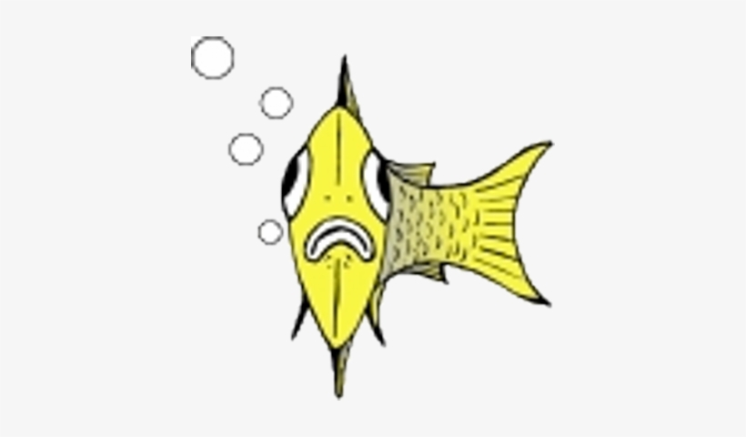 Us Fish Finder - Coral Reef Fish, transparent png download