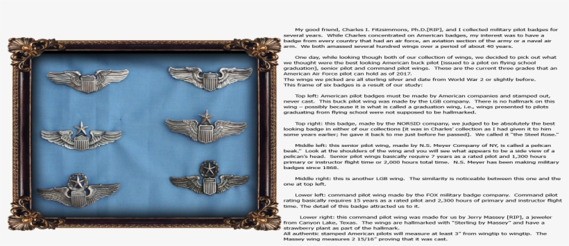 An Article About My Wing Collection & Me In The Local - Emblem, transparent png download
