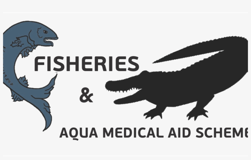 Fish Logo - Medicine, transparent png download