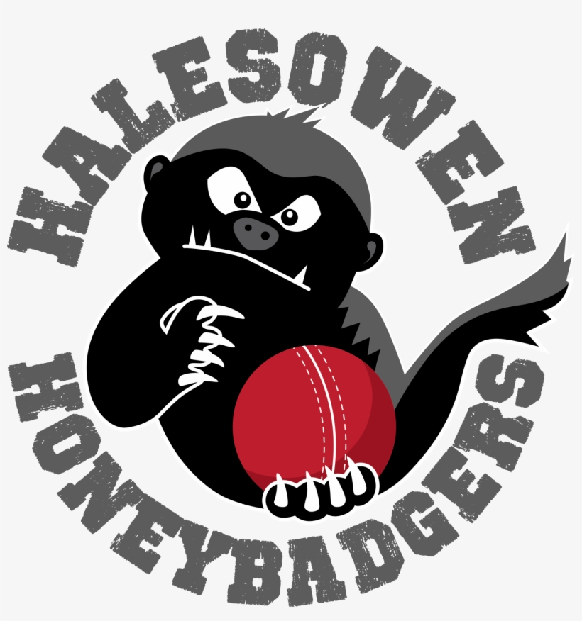 Cropped Halesowen Honey Badgers Grey - Illustration, transparent png download