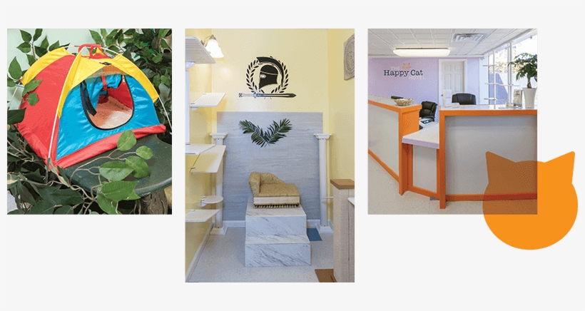 When Chris And Meg Raimo Opened Home Sweet Home Pet - Interior Design, transparent png download