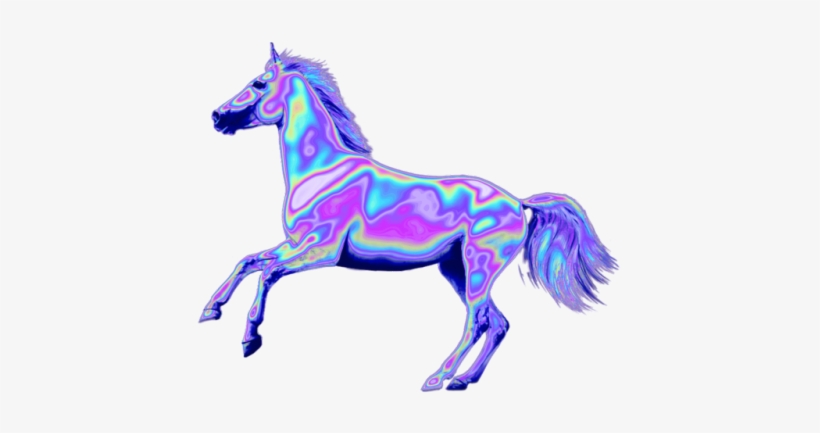 Horse, transparent png download