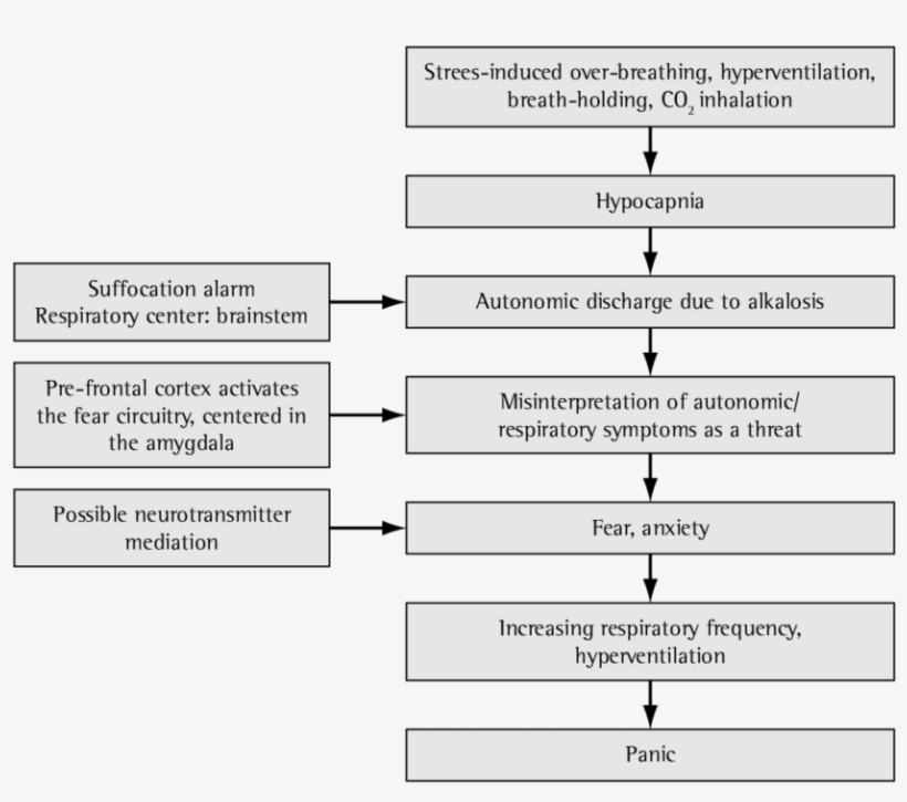 Panic Attack Mechanisms - Science, transparent png download