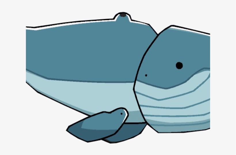 Whales, transparent png download