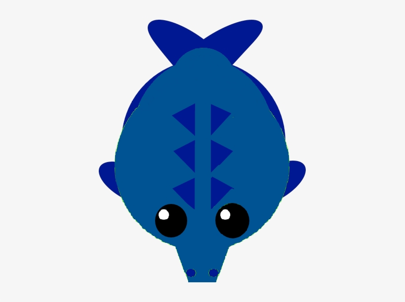 Croc Whale - Whales, transparent png download