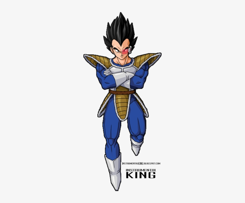 Share This Image - Costume Vegeta Dragon Ball, transparent png download
